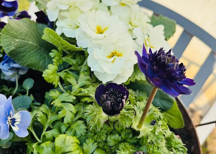 Semesterbostad Im Gruenen *