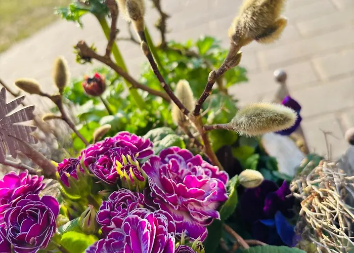 Semesterbostad Im Gruenen *