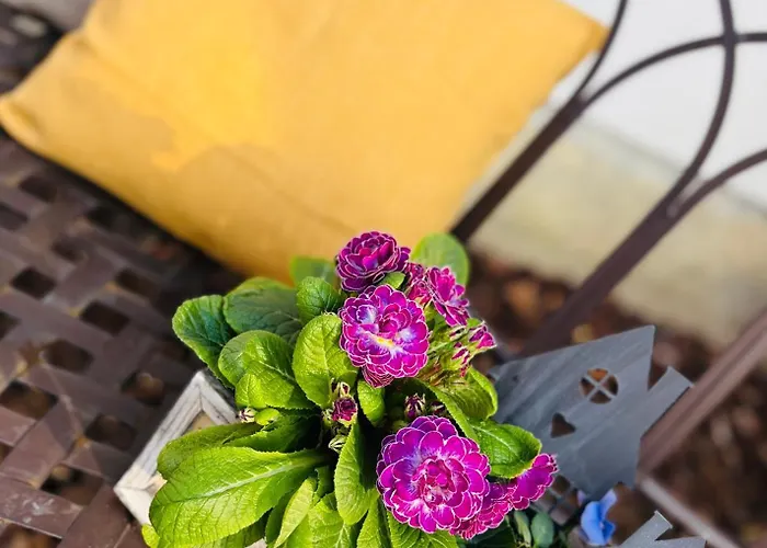 Im Gruenen Pritzwalk